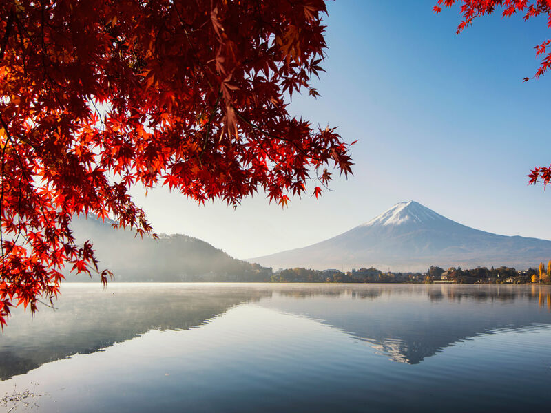 Comfort Japonya Turu Türk Hava Yolları ile 6 gece Ekstra Turlar Dahil ve Çay Seremonisi Dahil NRT-KIX 2026 - GB - 1114