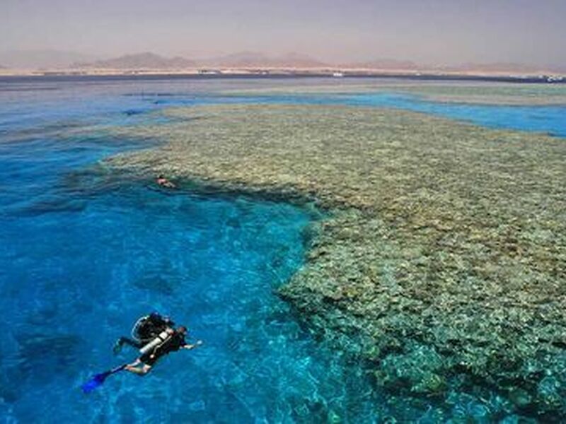 Baştanbaşa Mısır Masalı (Sharm – Kahire – Hurghada) 8 Gece – 9 Gün (7 Gece Otel Konaklaması) 22 Mayıs Hareketli - 1197