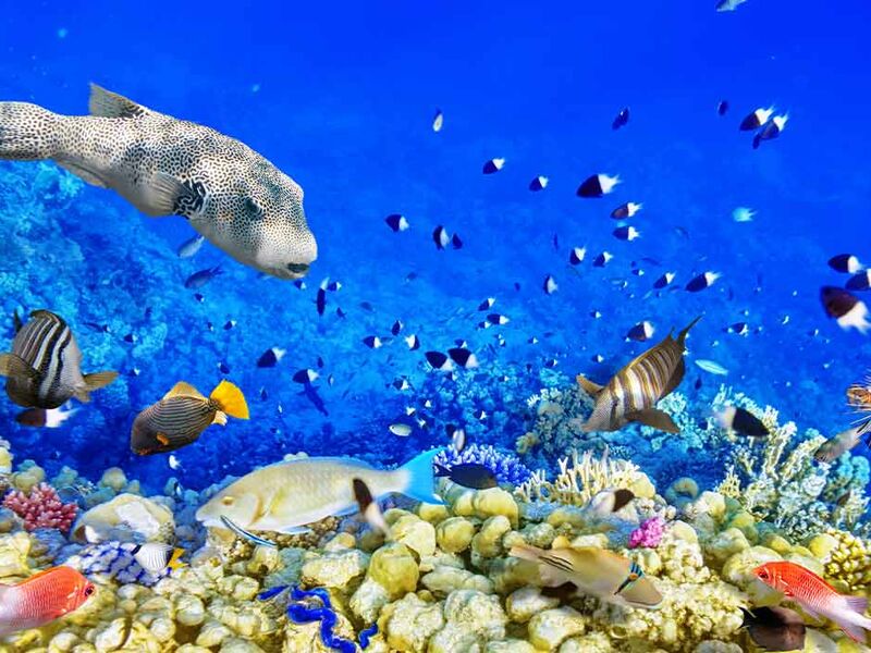 Baştanbaşa Mısır Masalı (Hurghada – Kahire – Sharm) 30 Nisan Hareketli 8 Gece – 9 Gün (7 Gece Otel Konaklaması) -1196