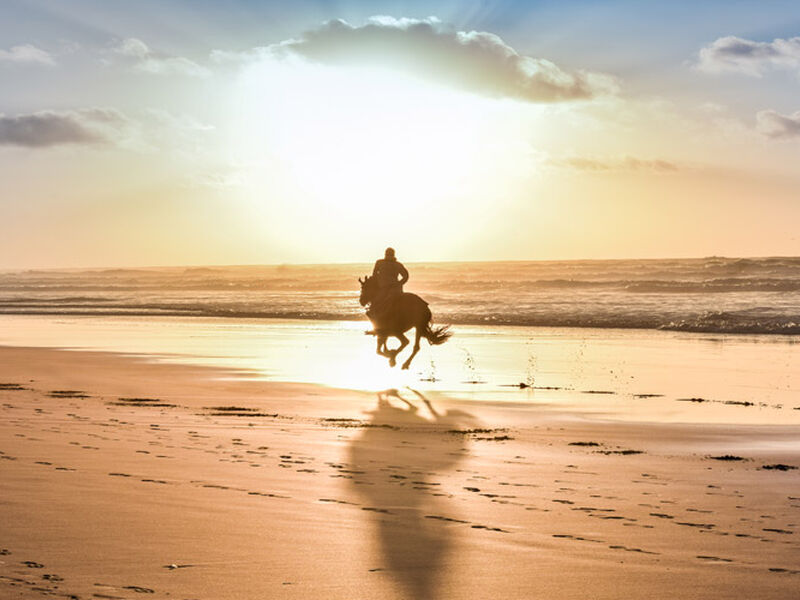 Comfort Fas & Sahra Çölü Turu (Çölde Kamp Konaklamalı) THY ile 7  Gece - Ekstra Turlar ve Akşam Yemekli 2026 Dönemi - GB - 1048