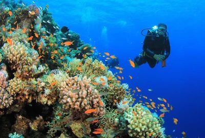 Kızıldeniz Rüyası Prestij Sharm El Sheikh Turu Kurban Bayramı Özel 27 Mayıs Hareketli - 464