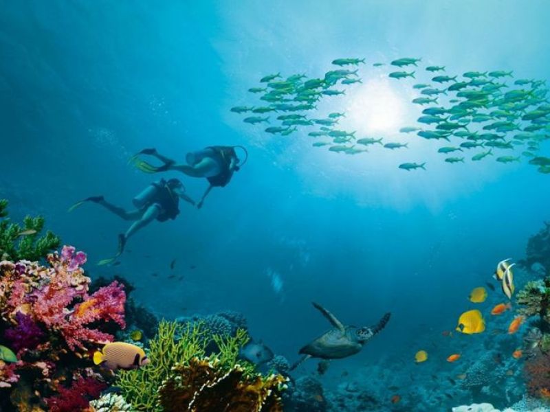 Sharm El Sheikh Turu Ajet Havayolları İle 5 Gece Gidiş-Dönüş Gündüz Uçuşu
