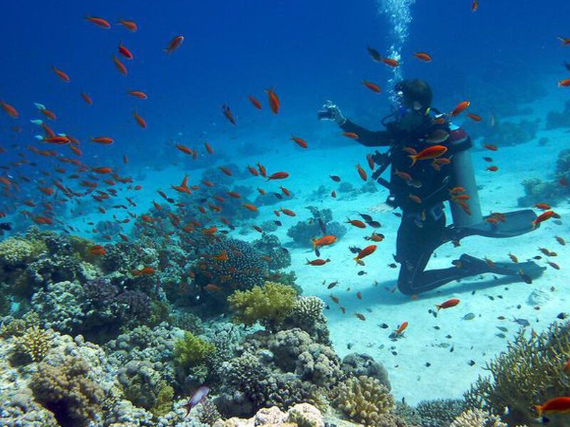 Promosyon Sharm El Sheikh Turu Ajet Havayolları  ile 6 Gece Transfer Saatine Kadar Otel Kullanımlı