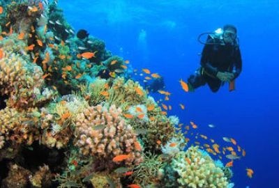Promosyon Sharm El Sheikh Turu Ajet Havayolları ile 3 Gece Transfer Saatine Kadar Otel Kullanımlı