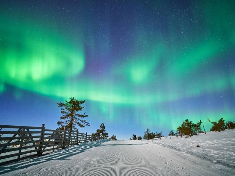 Vize Dahil Lapland Kuzey Işıkları Turu – Murmansk – St. Petersburg – Moskova // Tüm Şehir Turları Dahil !!!