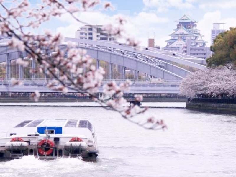 Grand Japonya Turu NRT-KIX THY
