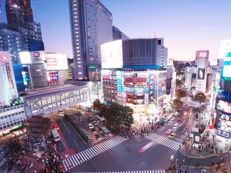 Grand Japonya Turu NRT-KIX THY
