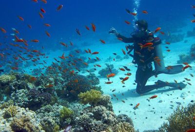 Samsun Çıkışlı Kahire-Sharm El Sheikh Turu Kasım Ara Tatili Özel Ajet Havayolları ile 4 Gece 5 Gün