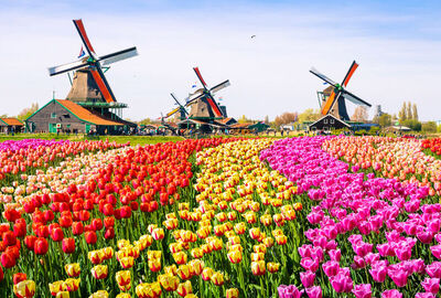 İzmir`den Direket Hareket Görkemli Üçlü Benelüx & Fransa & Almanya 7 Gece - SuxExpress ile 28 Aralık (Yılbaşı Özel) AT1234