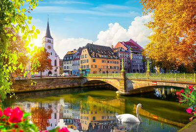 Comfort Alsace Fransa Almanya İsviçre Noel Pazarları Turu Pegasus Hava Yolları ile 3 Gece