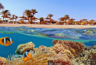 İstanbul Hareketli Sharm el Sheikh Turu | Ara Tatil Özel | Pegasus Havayolları ile Direkt Uçuşlar | 3 Gece - 18 Kasım Hareketli
