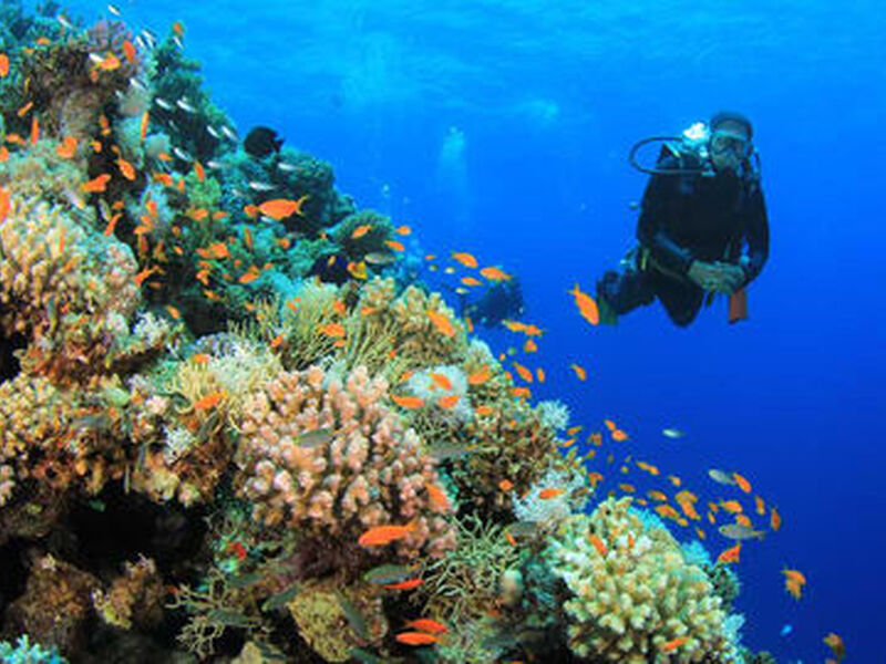 Promosyon Sharm El Sheikh Turu Ajet ile 4 Gece Otelden Erken Çıkışlı - 2