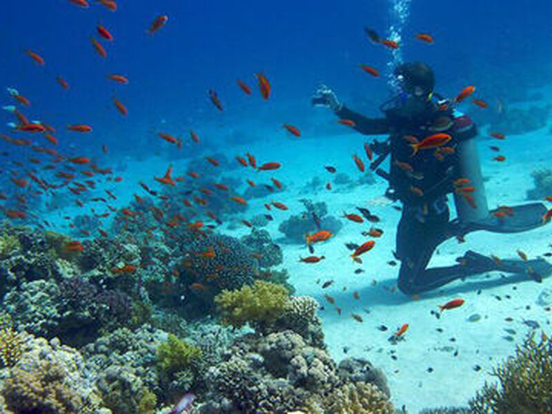 Vizesiz Promosyon Sharm El Sheikh Turu Ajet ile 4 Gece Transfer Saatine Kadar Otel Kullanımlı 